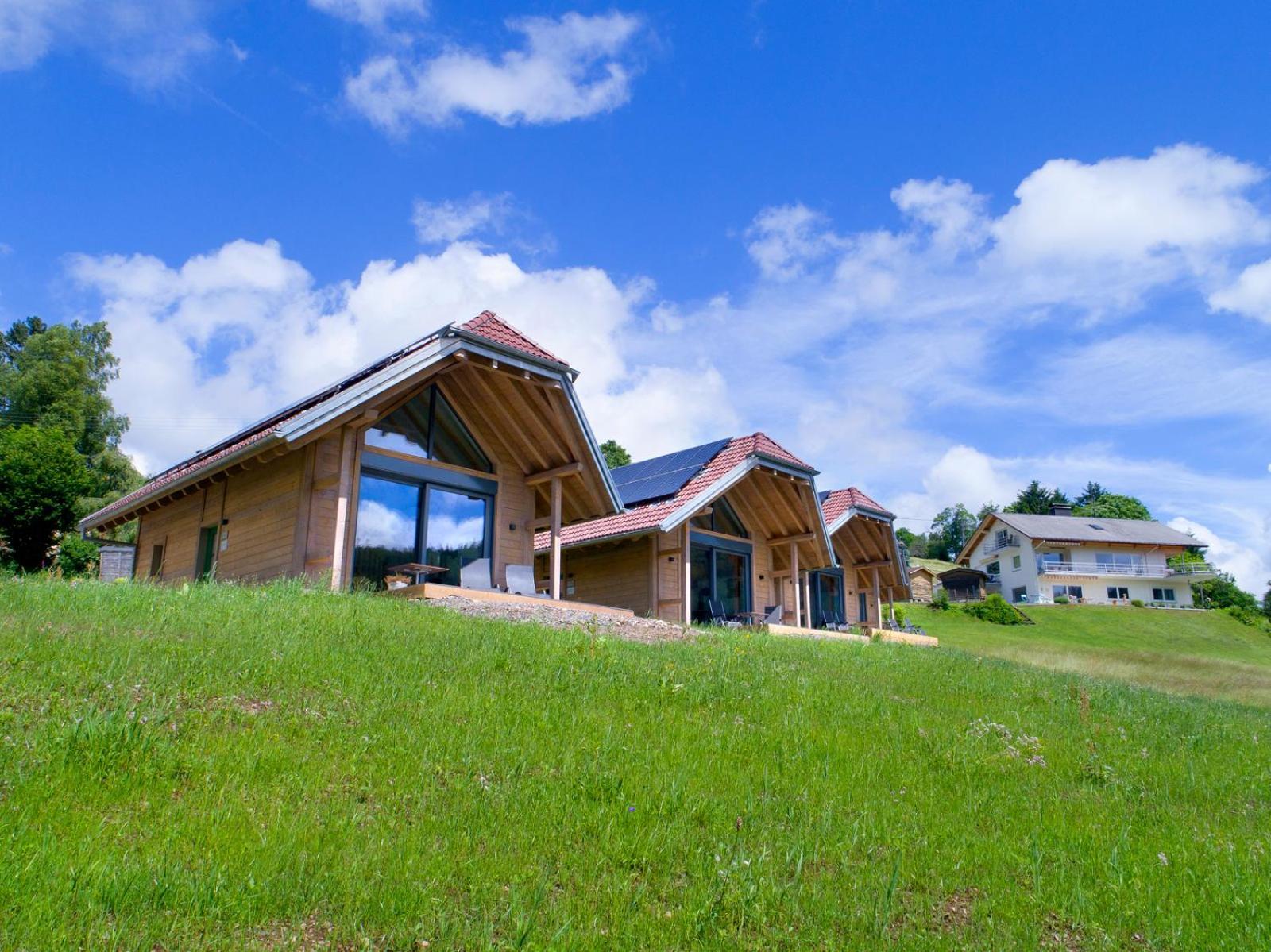 Chalets Am Roessle Todtmoos Εξωτερικό φωτογραφία